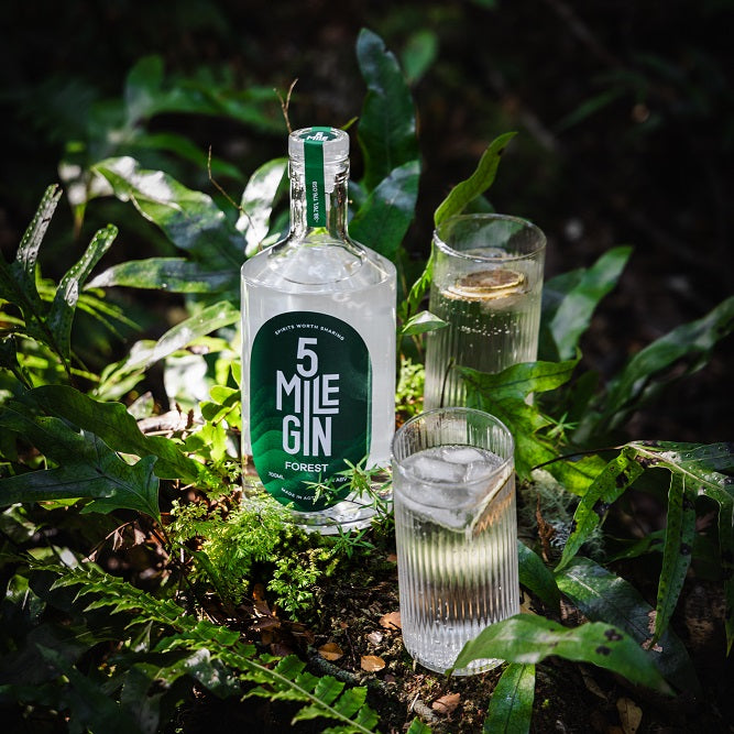 Forest Gin